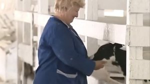 с. Милоградово,  Приморский край, "Милоградовское-1"