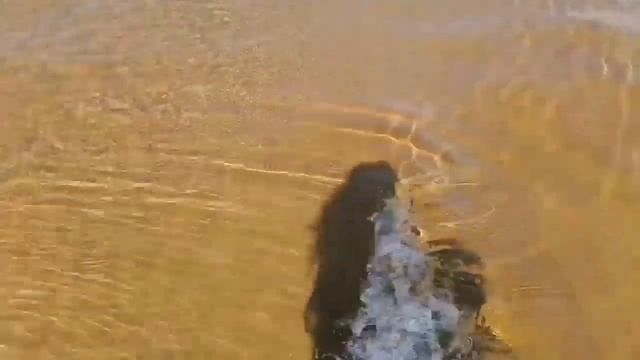 Майская коса острова Городомля на Селигере.