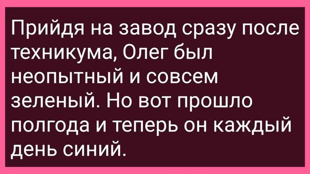 Кума Сняла Трусы и Предложила Куму! Сборник Свежих Смешных Жизненных Анекдотов! смотреть онлайн