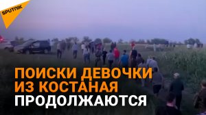 Прячется в кукурузном поле - сотни человек продолжают поиски 5-летней девочки в Костанае