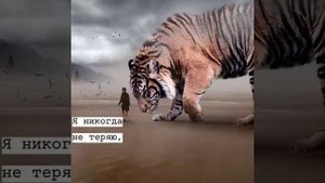 Лучшая Подборка Лучших Цитат Грустные, Смешные,Крутые Цитаты #1