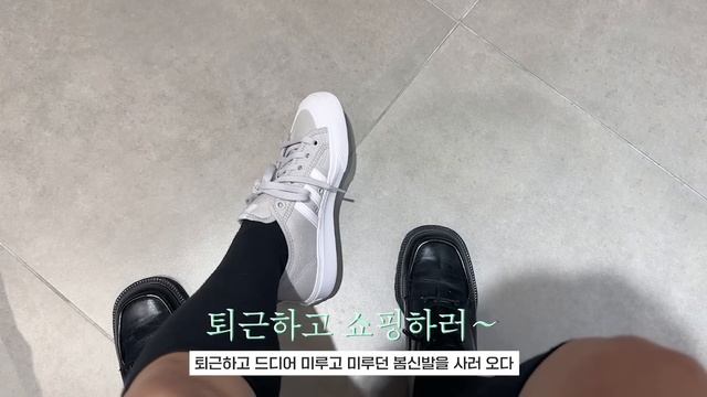 4년차 직장인 브이로그 | 이직 같은 걸 하게 된 사연, 카드값 줄이기, 공부하는 직장인?? 갓생 지망생...!