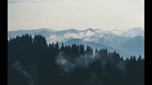 LVNX - Горы по колено