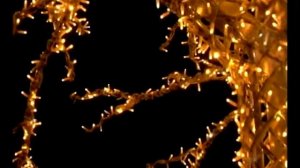 Гирлянды на деревья