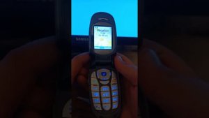 Знакомство с телефоном Samsung SGH-X480