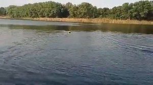 карповый кораблик водомет 28мм