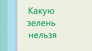 Попугай. Чем нельзя и чем можно кормить попугаев