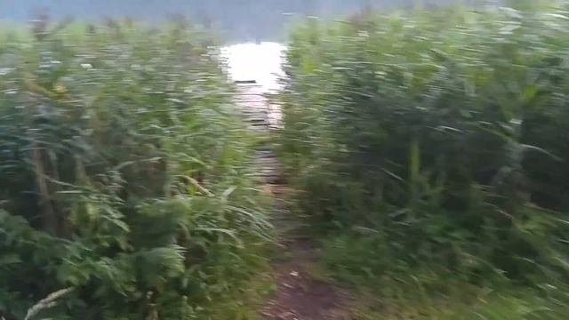 Закат. Берег озера Шчыбат со стороны д. Боровка. Лепельский военный санаторий