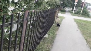 Простой забор из профильных труб самостоятельно и дёшево