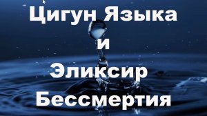 Открытый Мастер Класс. Цигун Языка и Эликсир Бессмертия | Сонг Парк | Академия Киайдо
