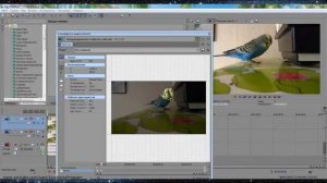 Как замазать или скрыть часть видео (лицо) в Sony Vegas Pro 12.0