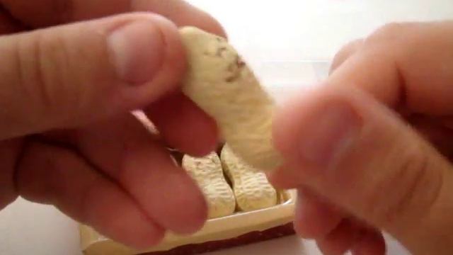 Стирательные резинки в форме орехов смотреть онлайн