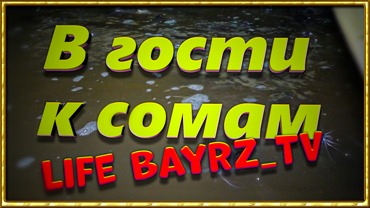 В гости к сомам || Life Bayrz_TV.