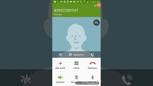 Как позвонить деду морозу