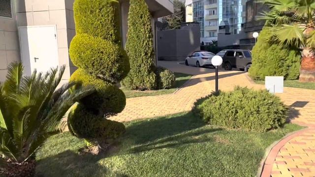 Адлер в феврале 2023. смотреть онлайн