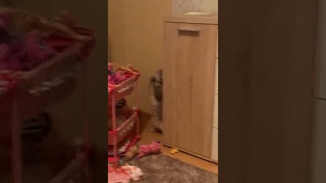 8 июля 2016 г. смотреть онлайн