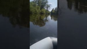 Лодки Таймень 2850 и Аква 3200 на моторах Тояма 3.6