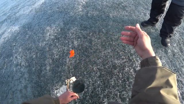 Отчет с Аргазей в апреле!