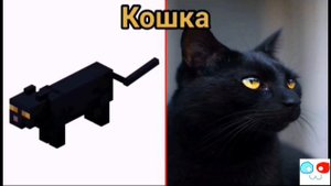 МОБЫ MINECRAFT В РЕАЛЬНОЙ ЖИЗНИ! МОБЫ ИЗ НОВЫХ ВЕРСИЙ MINECRAFT В РЕАЛЬНОЙ ЖИЗНИ!