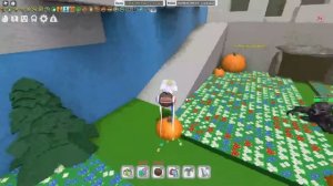 КАК ПРАВИЛЬНО ВЫБРАТЬ ВЕЩИ В БИ СВАРМ СИМУЛЯТОР ПЧЕЛОВОДА | BEE SWARM | РЫБКА PLAY