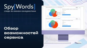 Обзор возможностей сервиса SpyWords