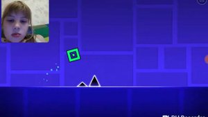 Геомитридеш