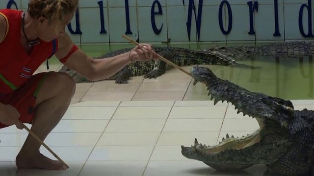 #ТаиландПхукет Крокодил и Тайская голова смотреть онлайн