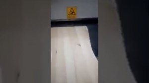 Станок для браширования (старения) древесины Griggio R 600/2 б/у