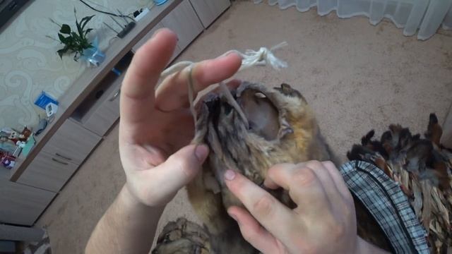 Готовлюсь к сдаче соболей и белок смотреть онлайн