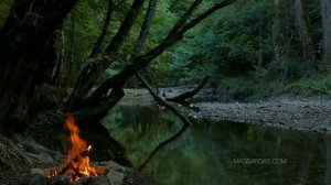 Как Распознать Ложь с Помощью Магии - Маг Sargas