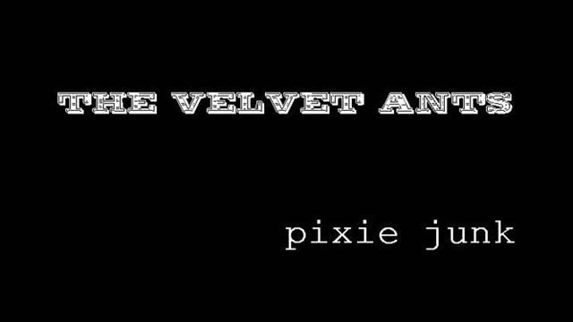 The Velvet Ants - Demotion Of Pluto [B-Side] смотреть онлайн