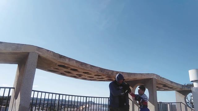 Работа на лапах по заданию 15 раундов. ?Bottle Toads Boxing ?@vsem_boks тренер Роман Михайлов ??(2) смотреть онлайн