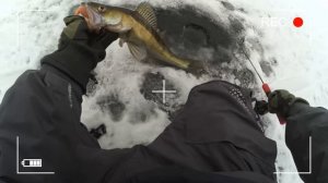 Короткий ОБЗОР работы удилищаTEAM DUBNA Vib Special 67H, она рождена для вываживания СУДАКА!