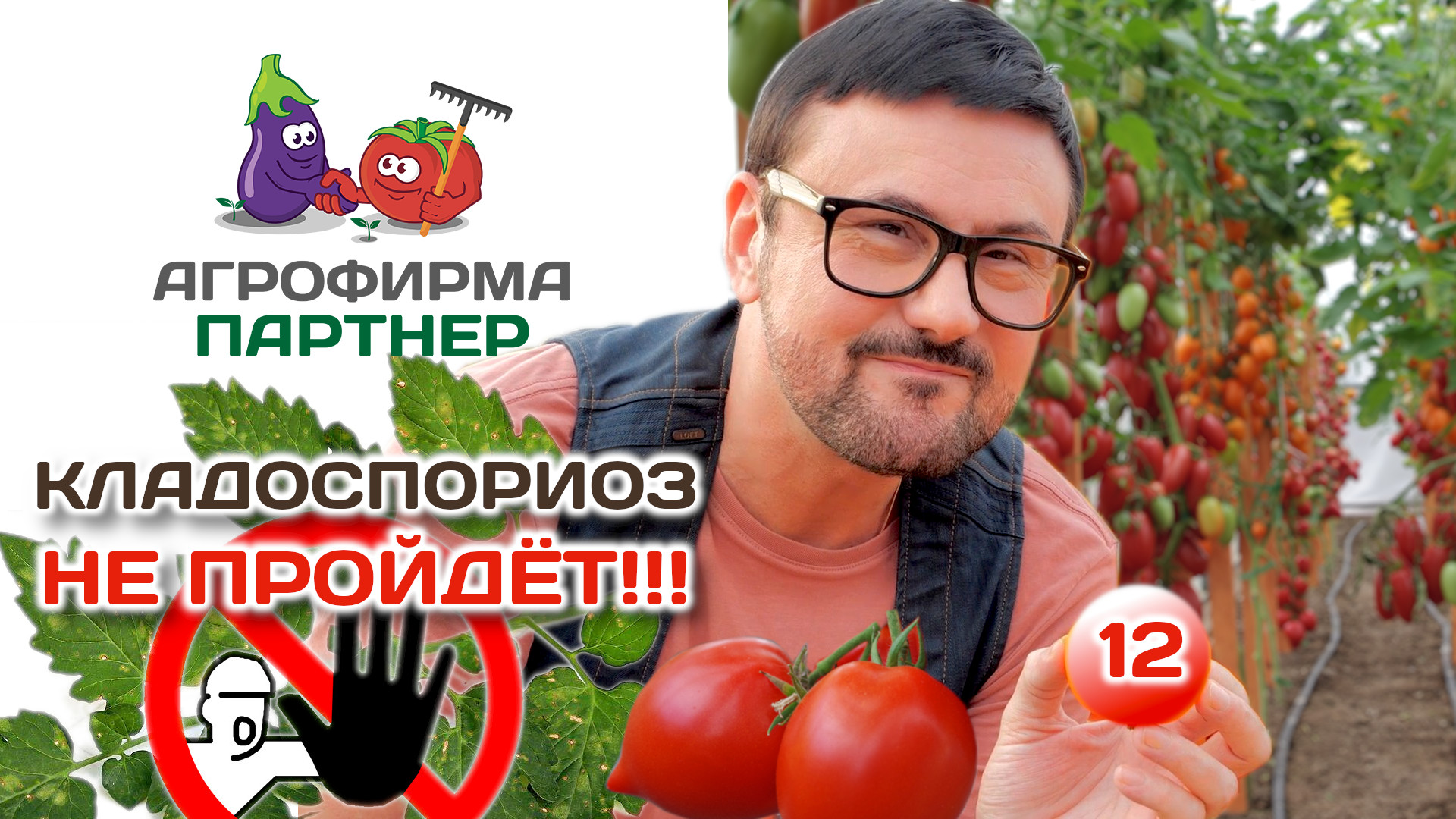 12 низкорослых томатов, устойчивых к кладоспориозу | Кладоспориоз не пройдет! #огород #семена #дача