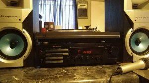 WHARFEDALE ZALDEK 300 ALTAVOCES DE ESTANTERÍA