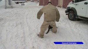 К службе в ГУФСИН по Нижегородской области приступил бывший боец СВО