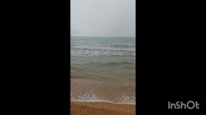 Любит - не любит...Ромашки...