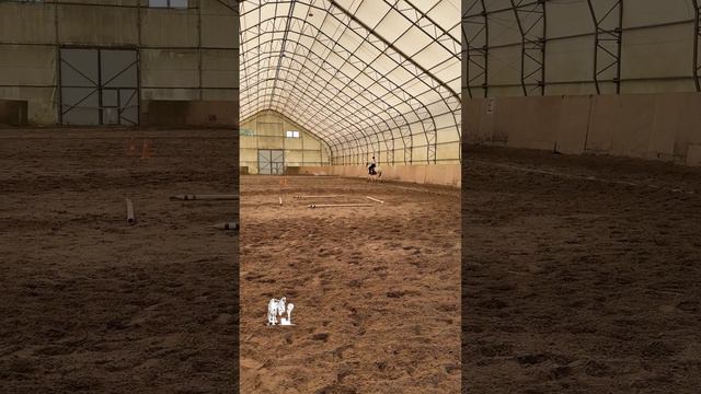 Анна, что зря к нам приехала? 😏
Была посажена на Лунтика для хорошей и качественной тренировки.