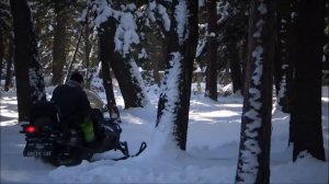 2002 Arctic Cat Pantera 550 Snowmobile