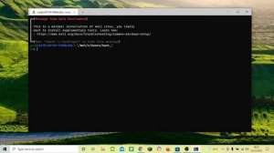 how to fix error cannot open display in wsl