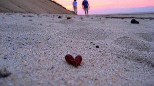 Искренние чувства! Просто хит! Это стоит послушать!