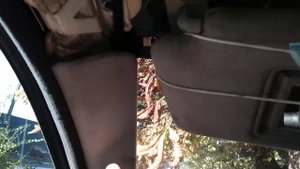 Потолок. Люк. Система безопасности Mercedes W210