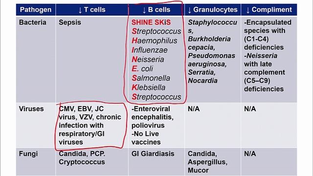 USMLE RX - 6.Иммунология - 2.Иммунные реакции - 8.Инфекции при иммунодефиците