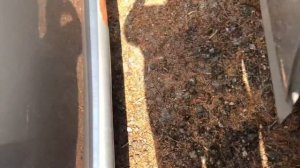 2015 Chevy spark fuse box locations