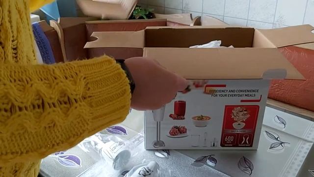 Покупка блендера Тефаль ( TEFAL Dailymix HB533138 )
