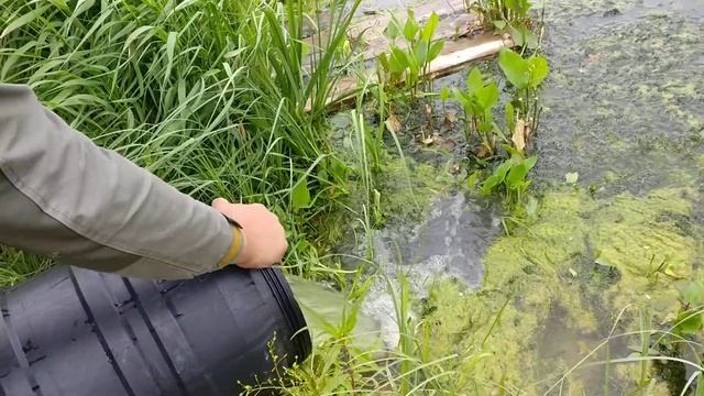 Зарыбляю карьер в Академическом районе Екатеринбурга смотреть онлайн