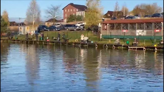 Утренний запуск форели! Поимка за поимкой! Клевое место, д. Савельево смотреть онлайн