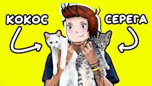 песня про котят кавер компот @HolyBaam ответь пж