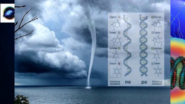 Эволюция. Зарождение Жизни. По новым знаниям смотреть онлайн