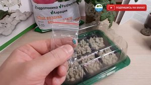 ВЫСАДКА СЕМЯН В GROWPLANT - Выращивание рассады на пеностекле, подготовка субстрата и стабилизация.